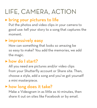 LIFE, CAMERA, ACTION