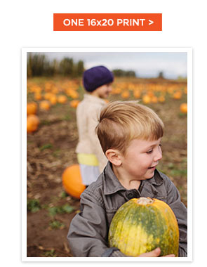 ONE 16x20 PRINT