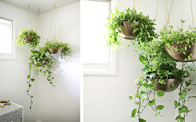 hanging planters for mothers day gift