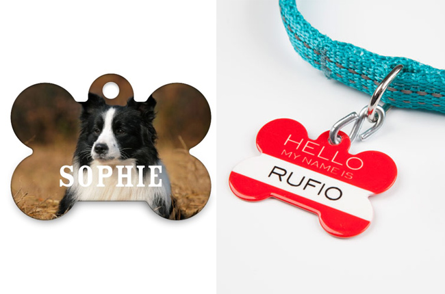 Personalized bone shaped pet tags featuring a border collie