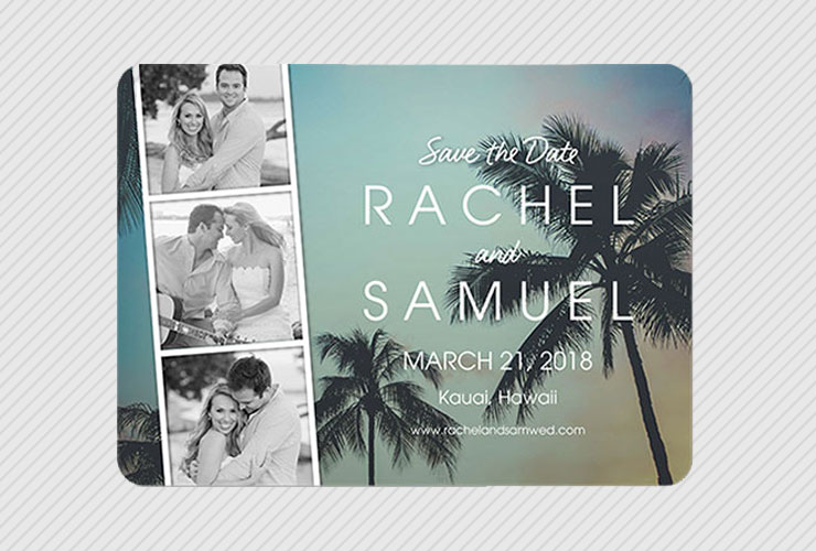 Palm tree save the date