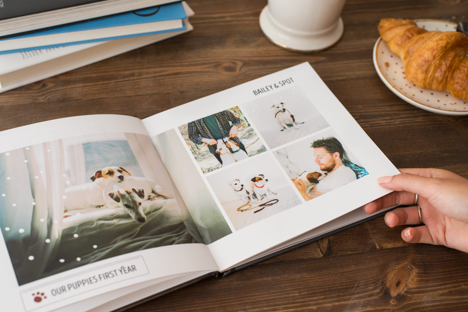 Photo book of pets