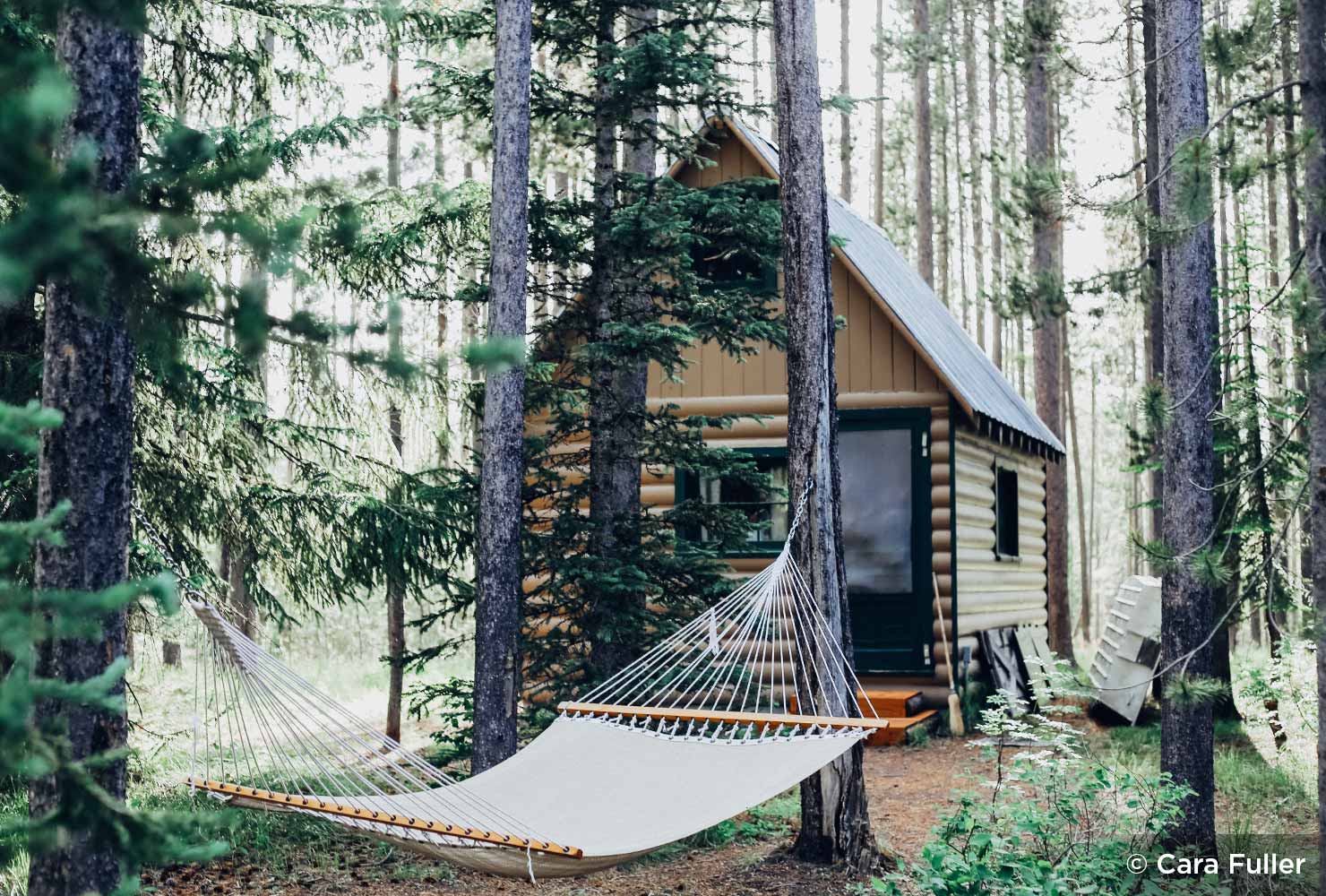 Cabin in the woods with hammock 
