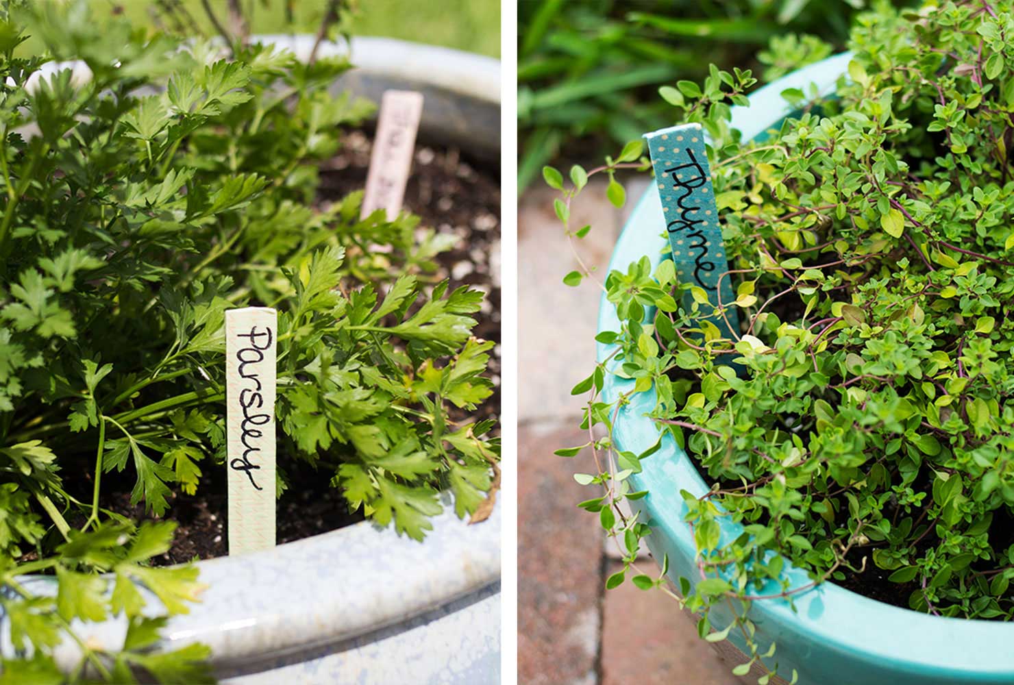 diy patio potted herbs width=