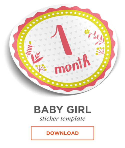Floral Baby Girl Print Baby Month Stickers Baby Milestone Stickers Photo 