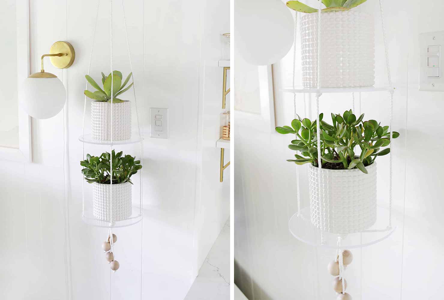 65 Ingenious Indoor Plant Decor Ideas | Shutterfly